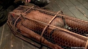 Master zappers ebony slave in cage